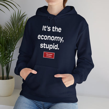 It's the economy, stupid. (hoodie)