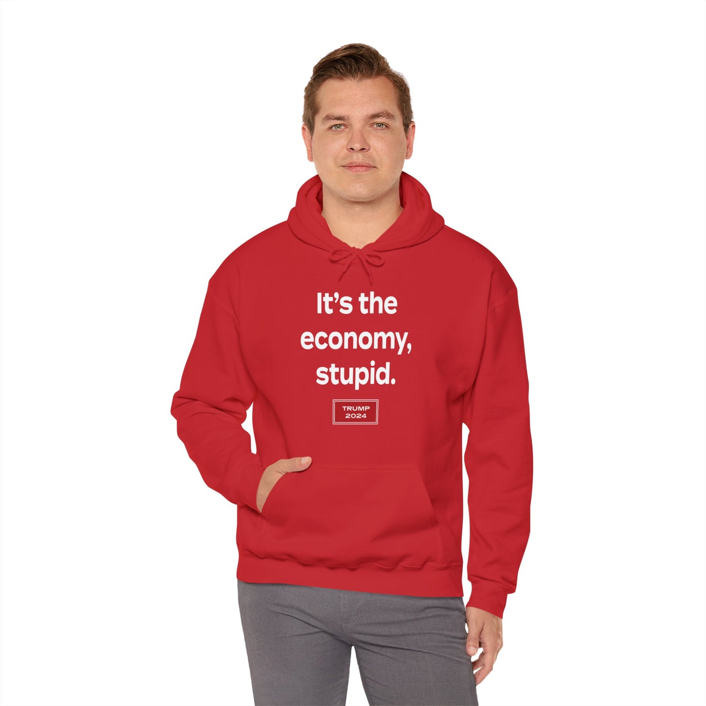 It's the economy, stupid. (hoodie)